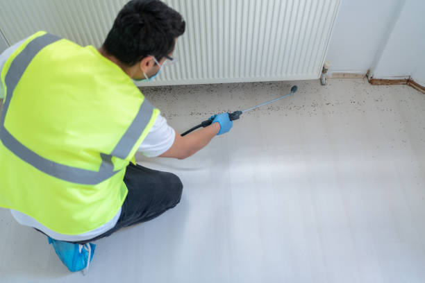 Best Fumigation Services  in Hoisington, KS